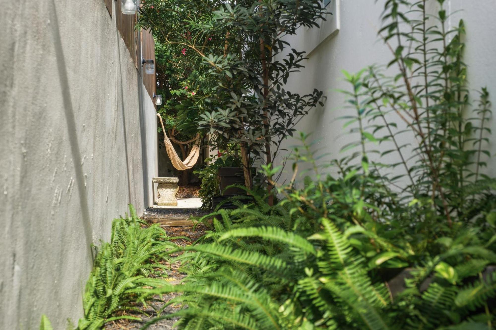 Dream Beach House By Sonsolea Host Luquillo Exterior photo